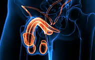 Symptom 6
